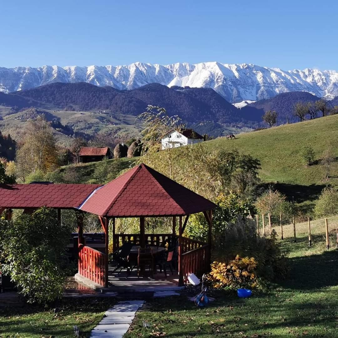 Nona Highland Home Moieciu de Jos Exteriér fotografie