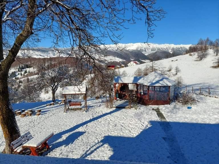 Nona Highland Home Moieciu de Jos Exteriér fotografie