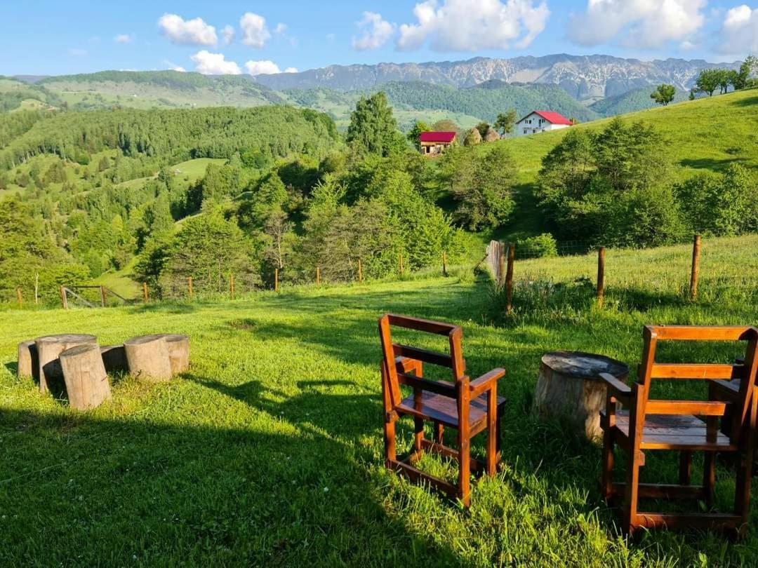 Nona Highland Home Moieciu de Jos Exteriér fotografie