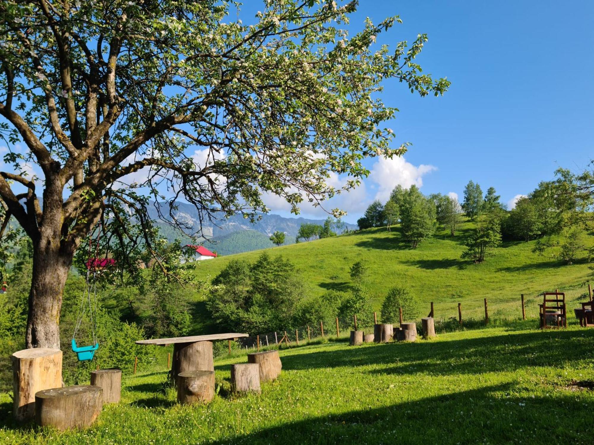 Nona Highland Home Moieciu de Jos Exteriér fotografie