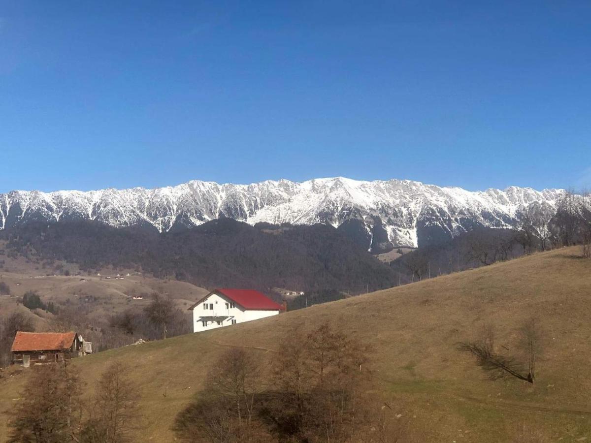 Nona Highland Home Moieciu de Jos Exteriér fotografie